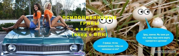 молекула духа Волоколамск